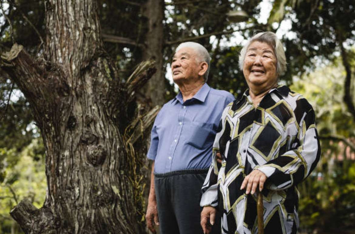Unveiling the Secrets Behind Japanese Longevity